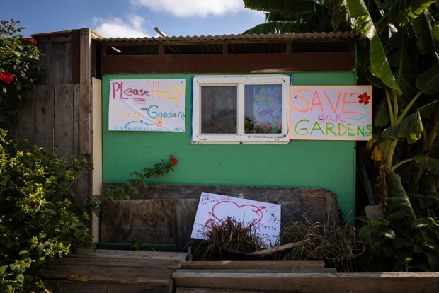 Signs at the Tijuana River Valley Community Garden on Wednesday, Oct. 8, 2025 in San Diego, CA. (Ana Ramirez / The San Diego Union-Tribune)