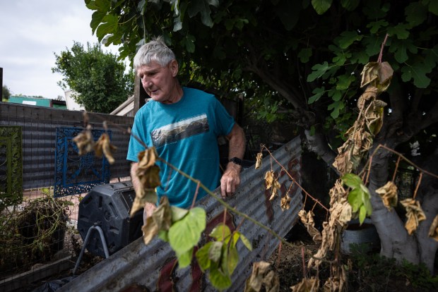 Bill Ridge cleans up a garden with his wife at the Tijuana River Valley Community Garden on Wednesday, Oct. 8, 2025 in San Diego, CA. (Ana Ramirez / The San Diego Union-Tribune)