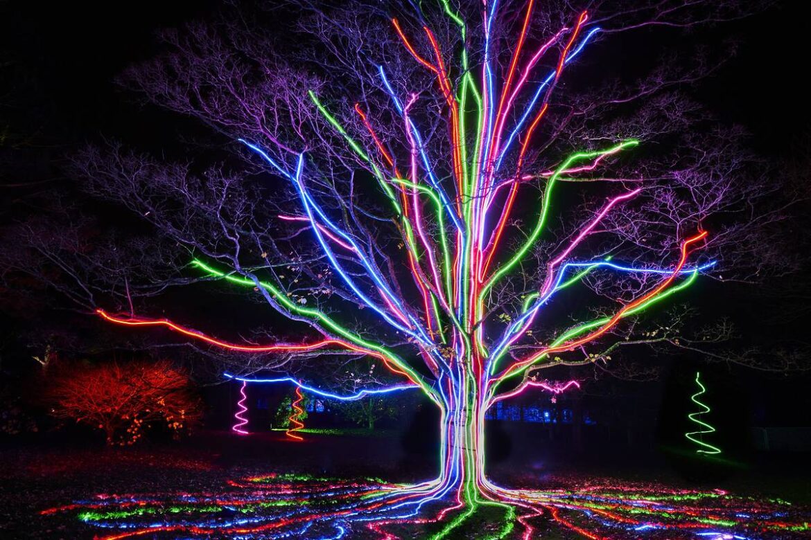 The San Francisco Botanical Garden Will Be Transformed With Over A Million Lights This Winter — Here’s How To Get Tickets The San Francisco Botanical Garden Will Be Transformed With Over A Million Lights This Winter — Here's How To Get Tickets