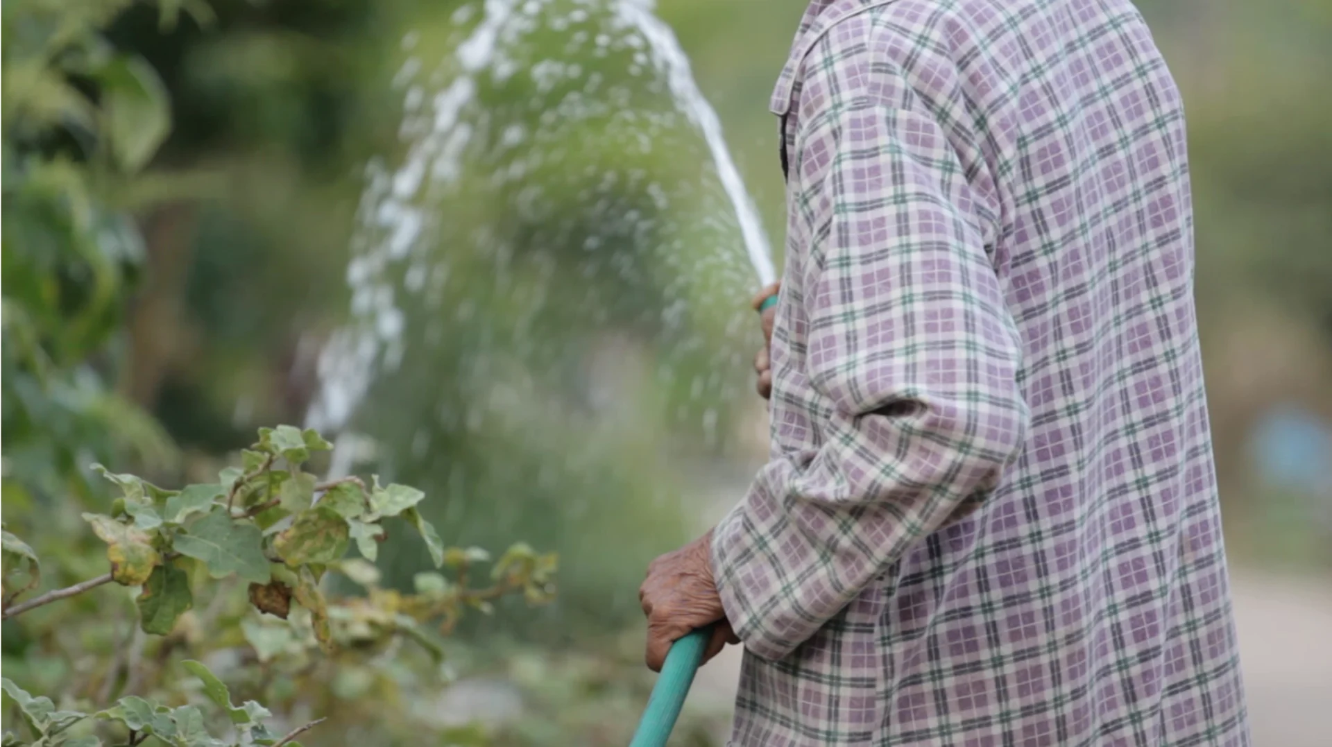 Free to use/stock photo: Watering lawn with a hose