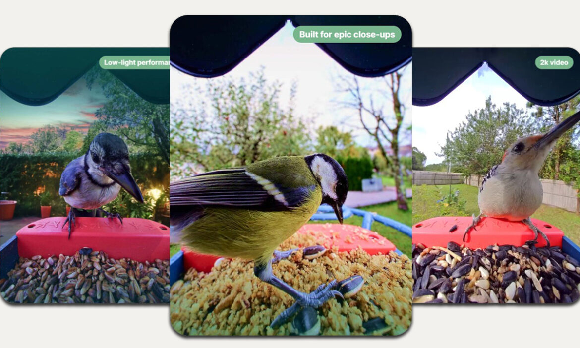 The Smart Home, Where Even the Bird Feeder Is in Your DMs