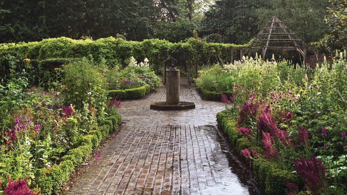 How to harvest rainwater without a gutter: 3 methods Rain in the garden