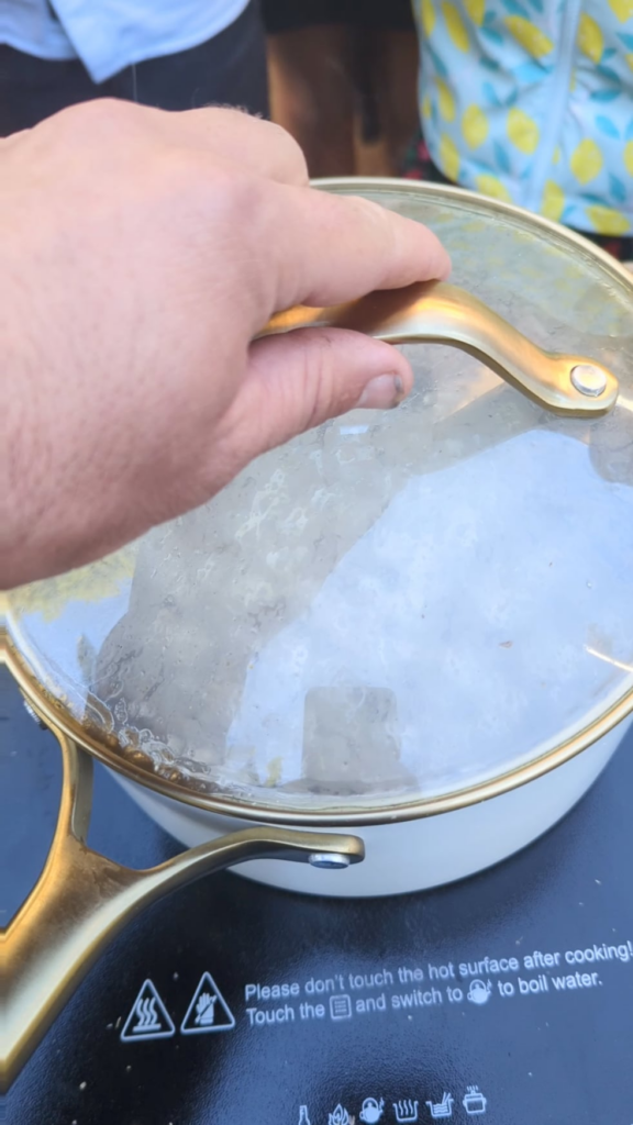 Taste report on 4,200 year old landrace popcorn I grew at my school gardens! It's not easy to pop, but my students and I loved it.