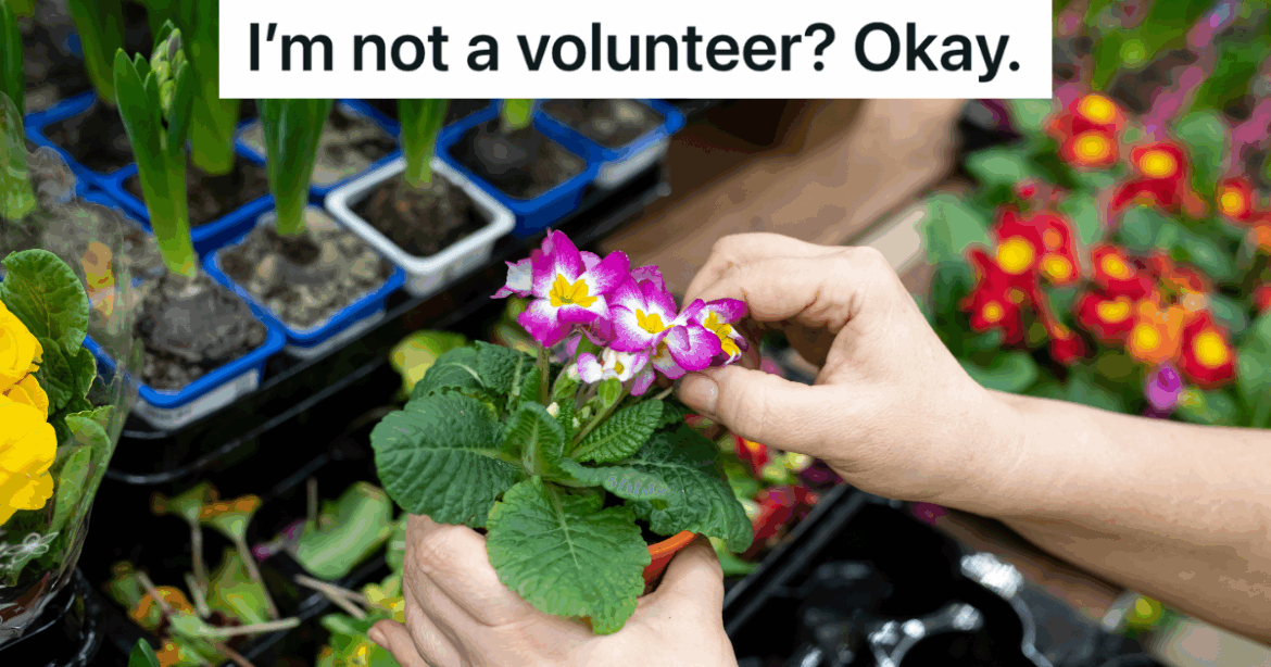 College Student Volunteers At Botanical Garden Every Year During A Plant Sale, But One Year There’s A New Person In Charge Who Says He Can’t Volunteer » TwistedSifter man standing on ladder hanging Christmas lights on house