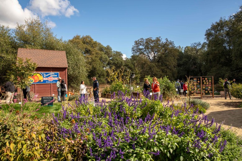 During the recent tour, partners observed the thriving demonstration garden’s progress over a year since its March installation, showcasing the lasting impact of this model water-saving demonstration garden.