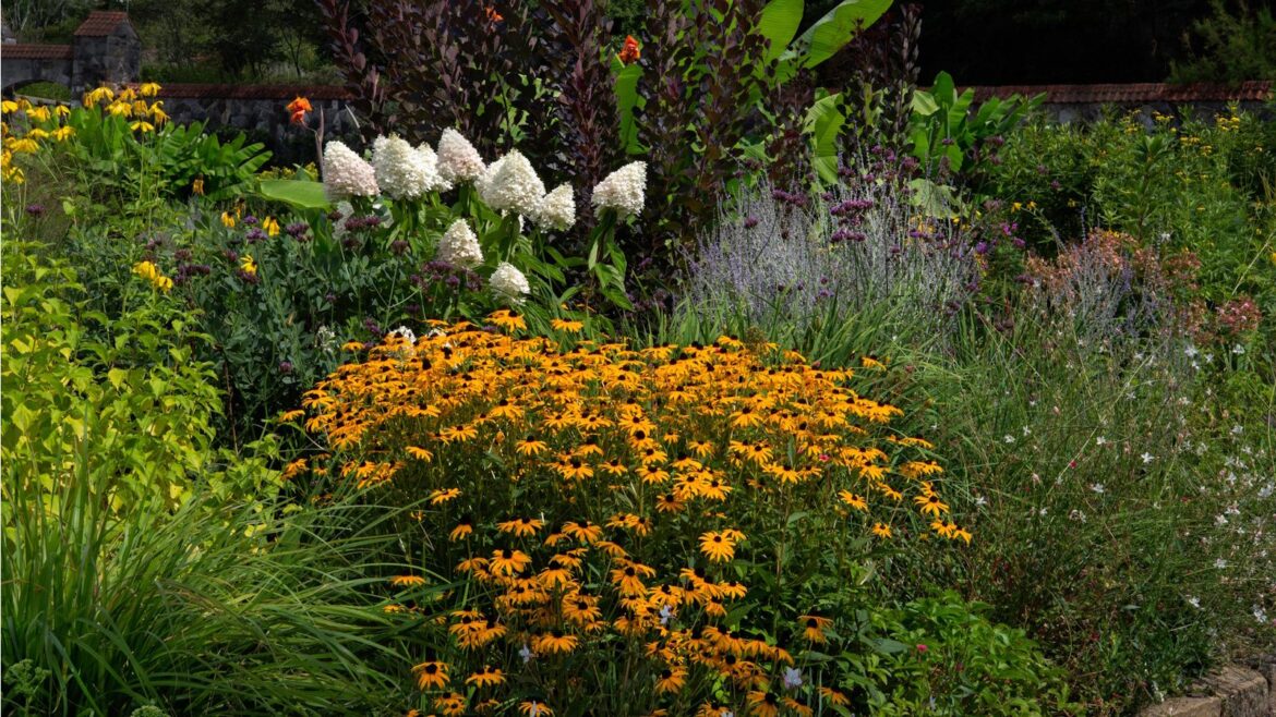 Fall yard clean-up mistakes: 3 to avoid this season How to attract wildlife to your yard in fall