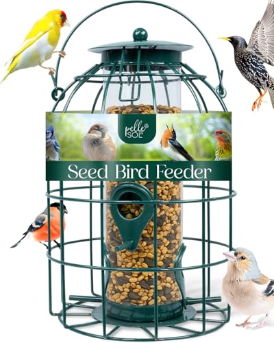 Pelle &amp; Sol Bird Feeder - Seed Feeder for Wild Birds - Compact Iron Design for Bird Feeders Hanging Station - Weather Resistant, Squirrel Proof, Easy Clean, Hang Anywhere Outdoor Feeders