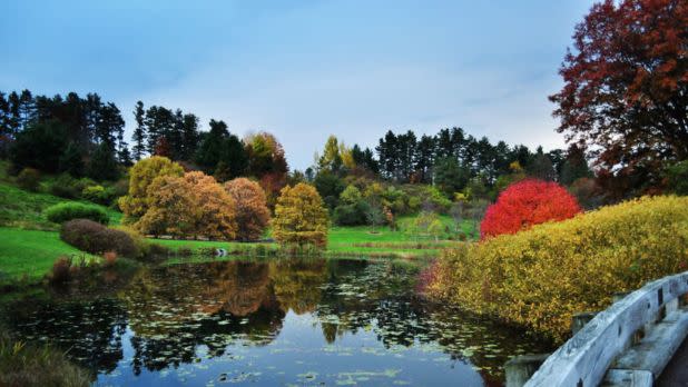F.R. Newman Arboretum