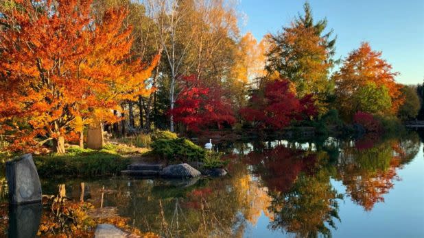 Sycamore Hill Gardens