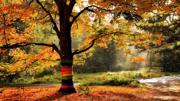 Pine Hollow Arboretum