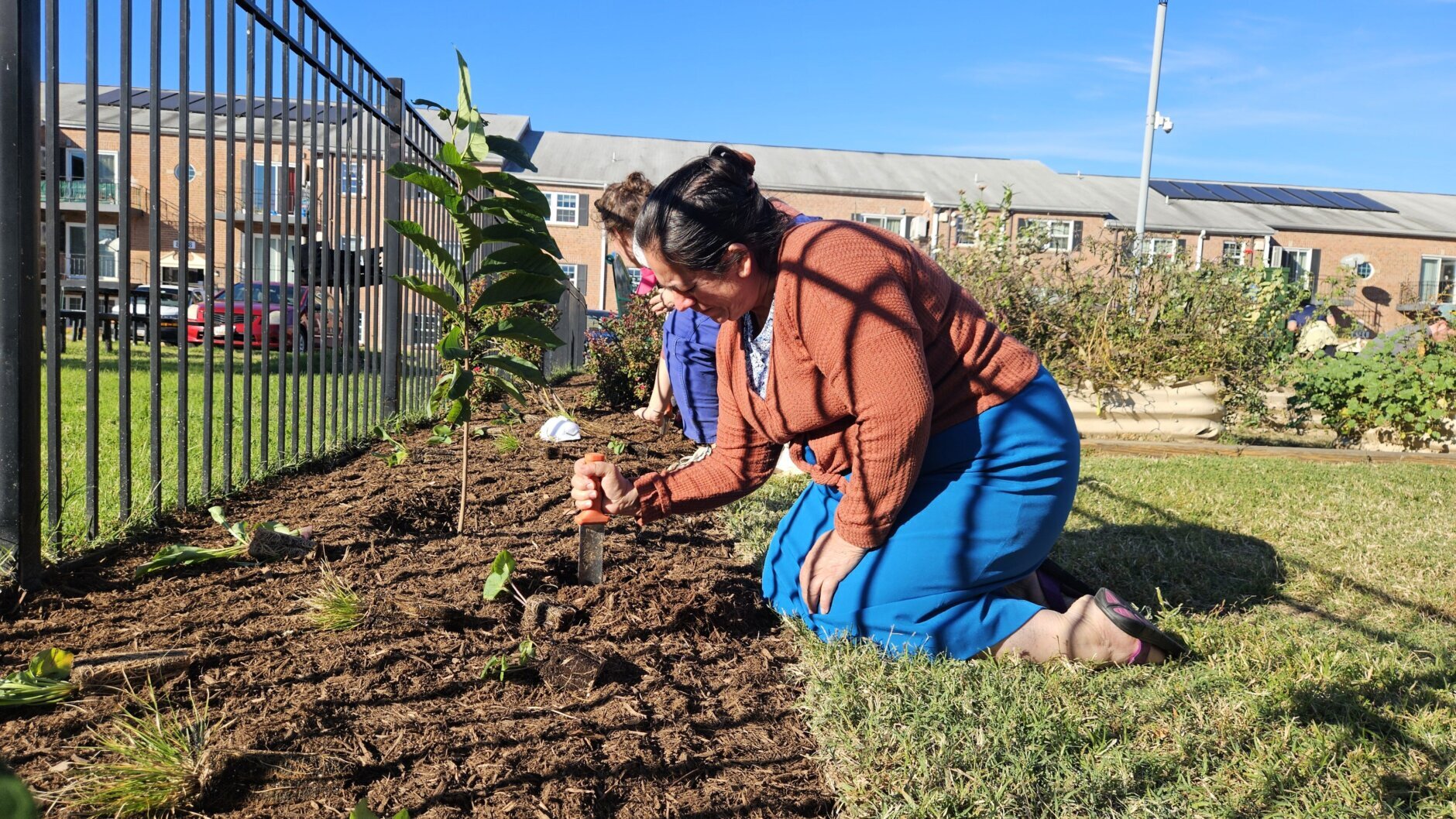 Volunteers shoveling up soil at a Langley Park garden