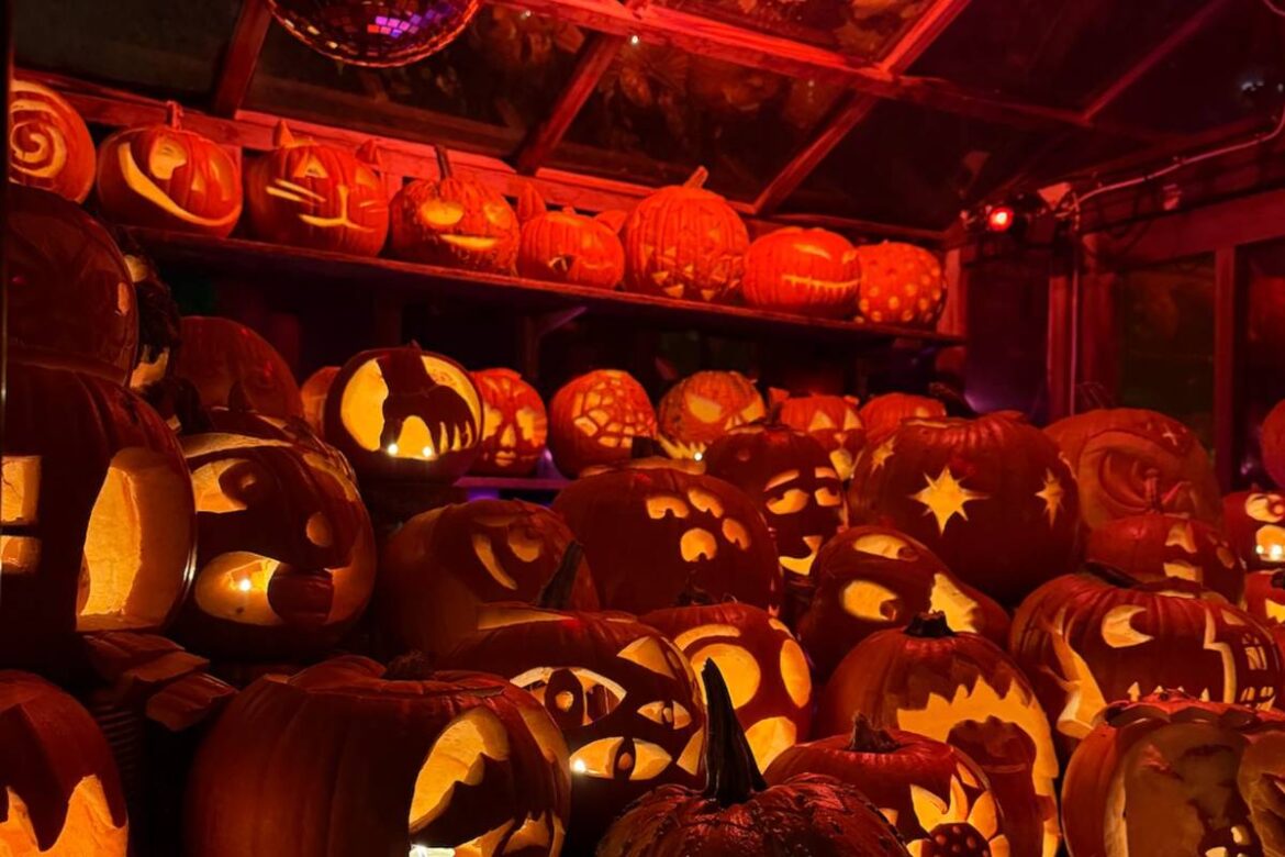 This East London Hidden Garden Has Transformed Into A Glowing Wonderland With Over 1,000 Carved Pumpkins This East London Hidden Garden Has Transformed Into A Glowing Wonderland With Over 1,000 Carved Pumpkins