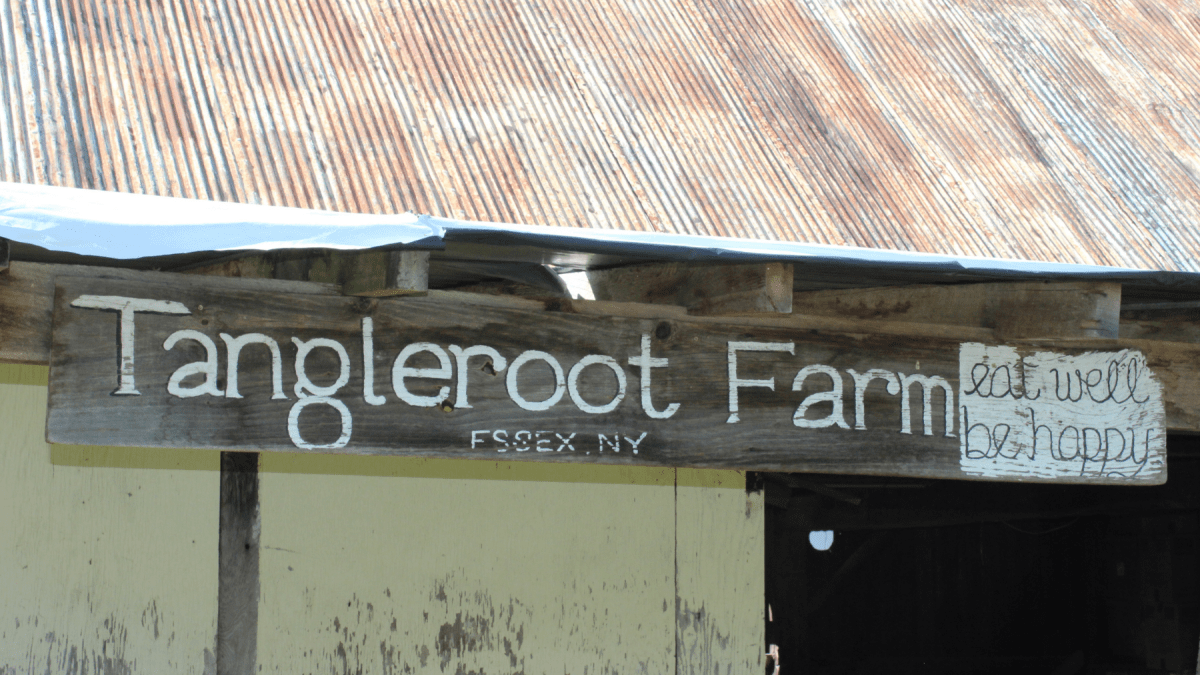 Tanglewood Farm sign. Photo by TJ Brearton