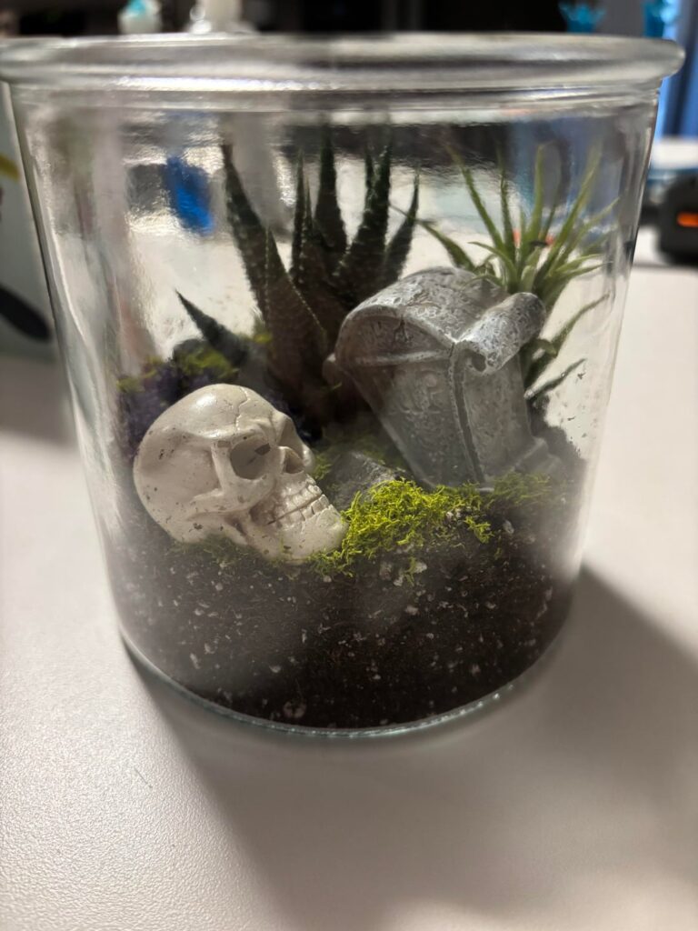 I was gifted this terrarium from Trader Joe’s. I have succulents but I never grown them in a glass pot, how long can I keep them in here for?
