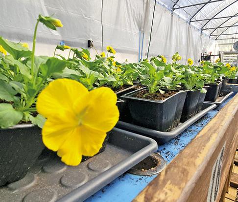 Master Gardener Association invites all to Fall Open House