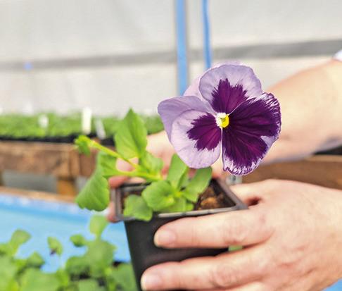 Master Gardener Association invites all to Fall Open House