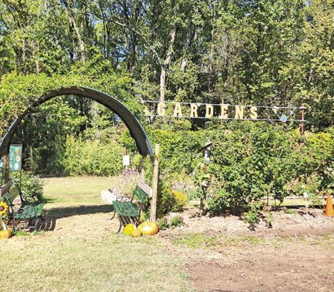 Master Gardener Association invites all to Fall Open House