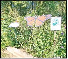 Master Gardener Association invites all to Fall Open House