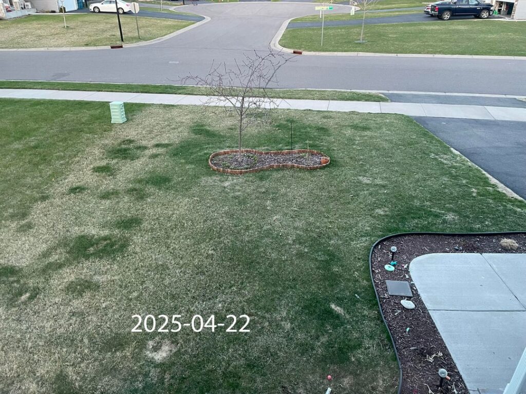 First attempt at improving my yard First attempt at improving my yard