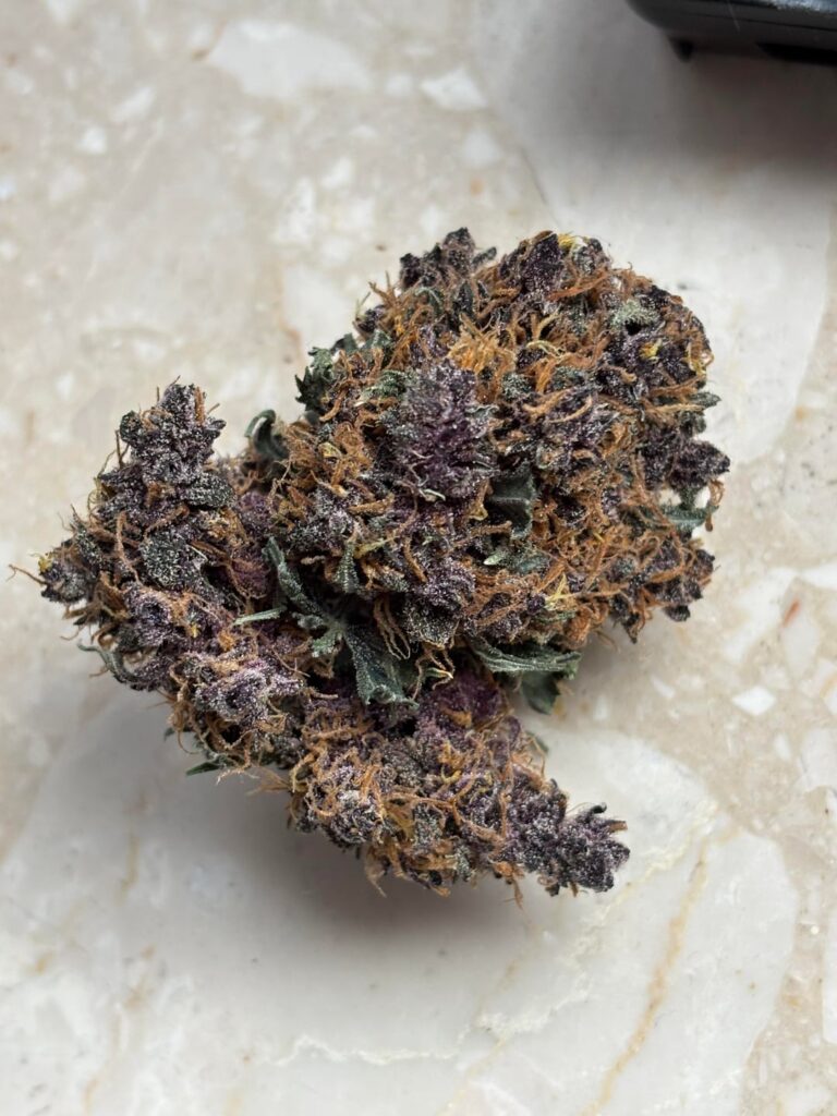 My harvest 3 phenos!