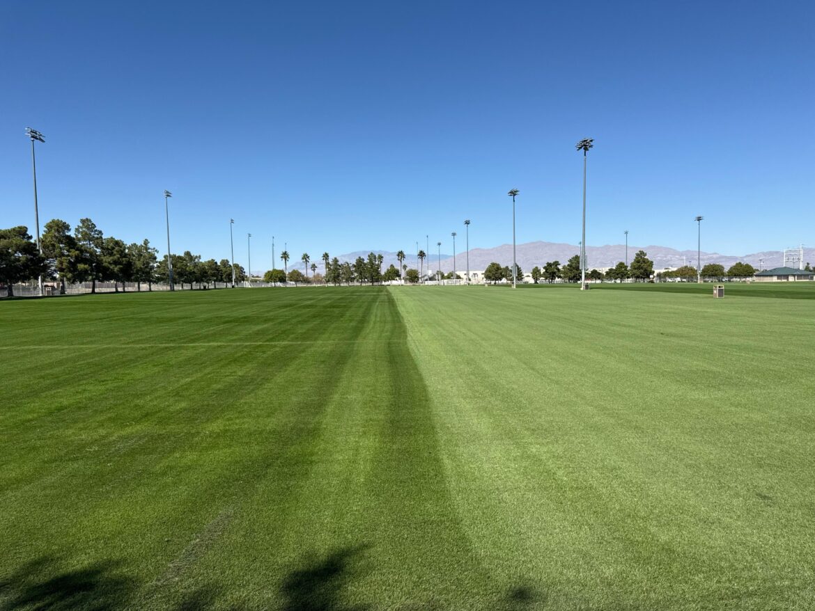 What do you guys call this ? My buddy calls it the 2 face.