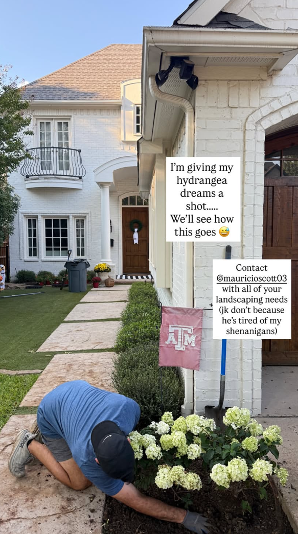 alex drummond and mauricio scott garden landscaping