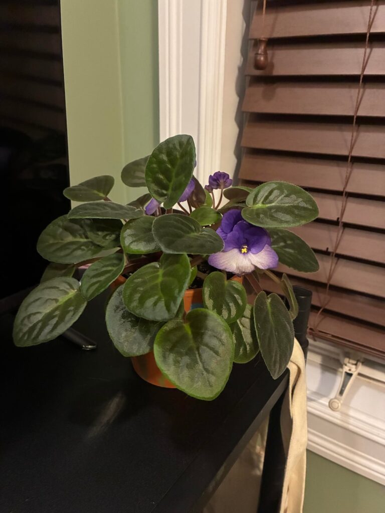 Should I separate?