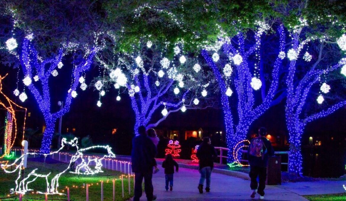 Moody Gardens Festival of Lights 2025 Returns to Galveston Moody Gardens Festival of Lights 2025 Returns to Galveston
