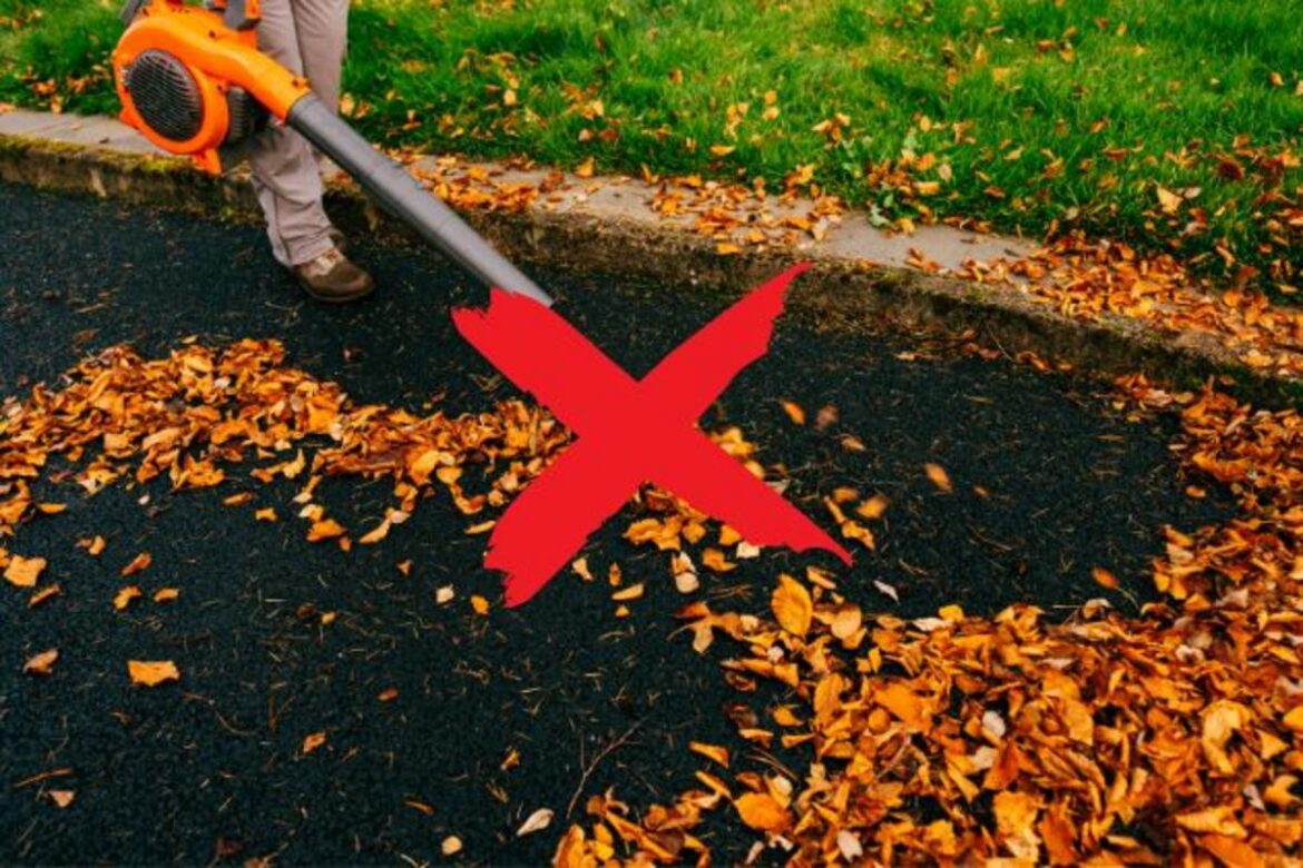 When leaf blowers are unnecessary: A New Jersey concern When leaf blowers are unnecessary: A New Jersey concern
