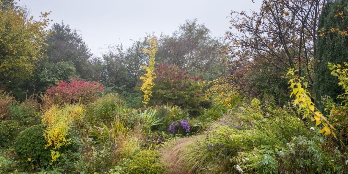 7 Plants I Bring Indoors for Winter (and 5 Not Worth the Trouble) 7 Plants I Bring Indoors for Winter (and 5 Not Worth the Trouble)
