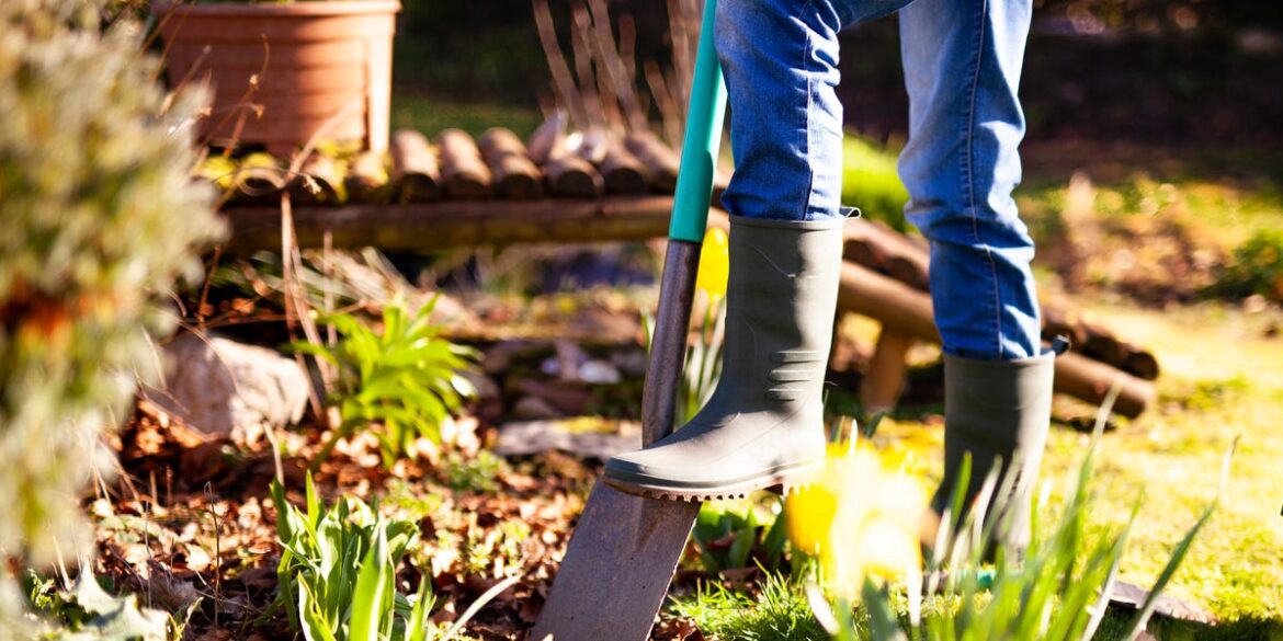 10 Autumn Chores To Do Right Now For A Beautiful Spring Garden 10 Autumn Chores To Do Right Now For A Beautiful Spring Garden