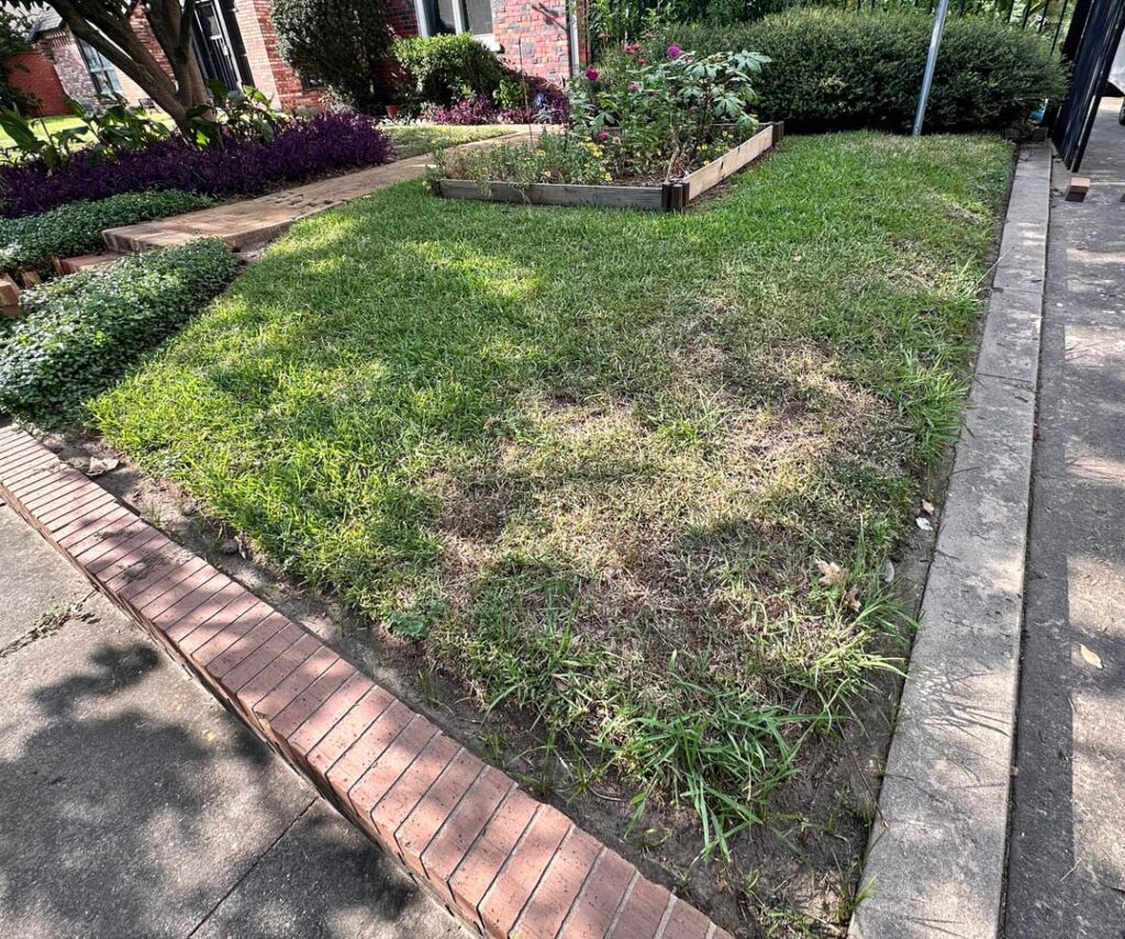 Front lawn conversion before after