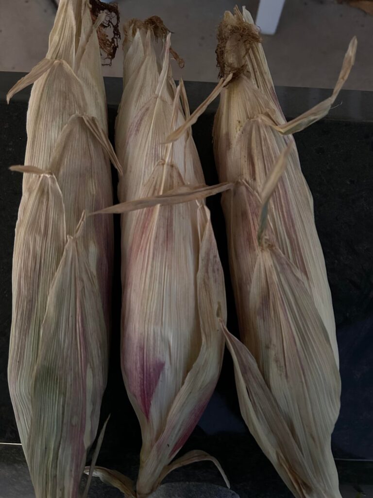 Is this corn ok to eat? Is this corn ok to eat?
