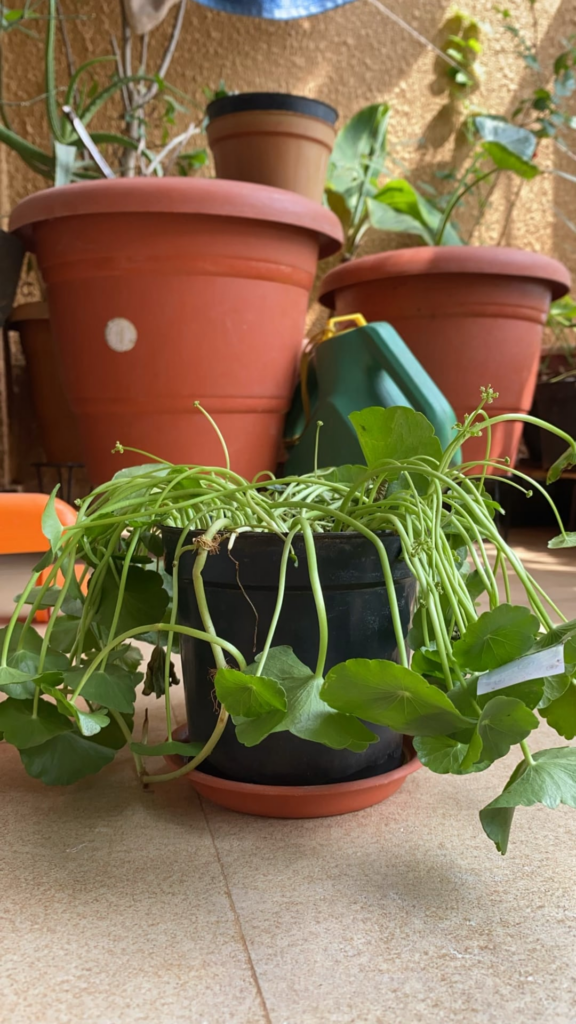 Everytime I see her 😄