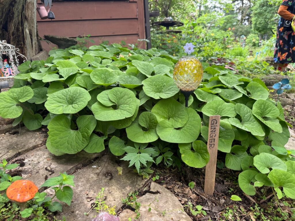 Award winning habitat