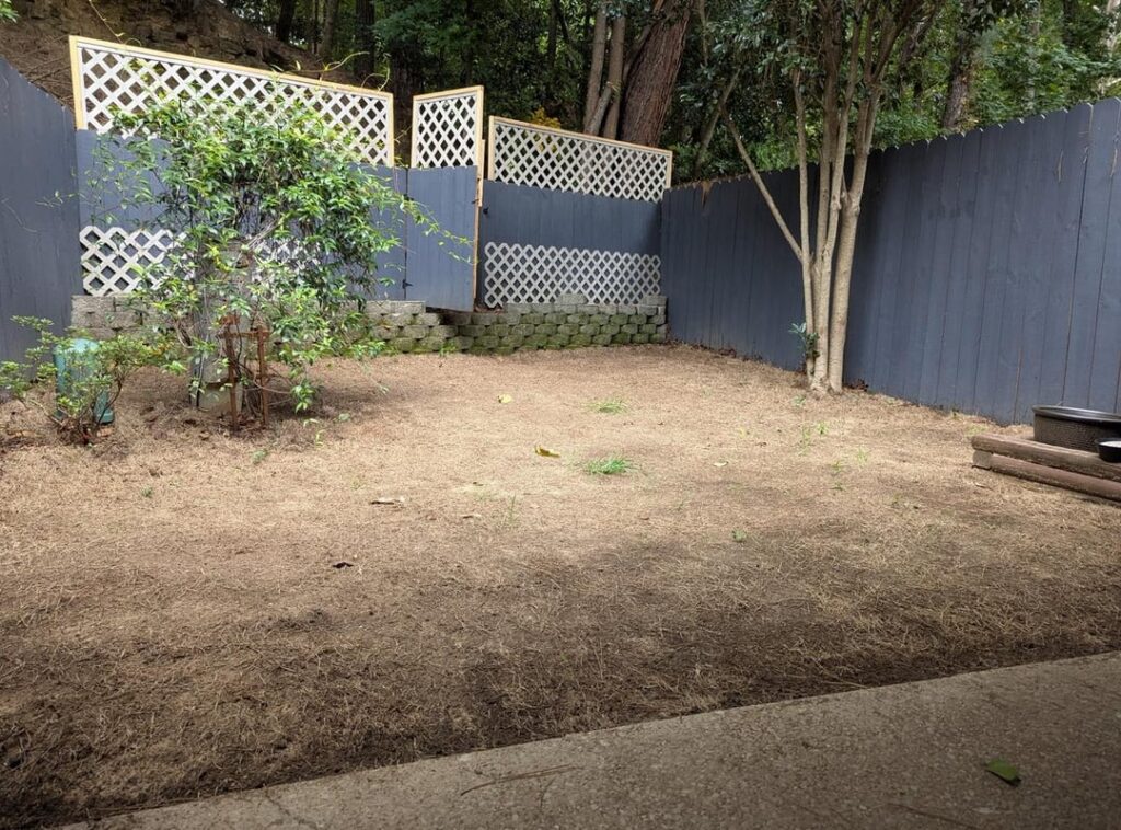 Central Alabama – shady yard, sod failed and clover struggling Central Alabama - shady yard, sod failed and clover struggling