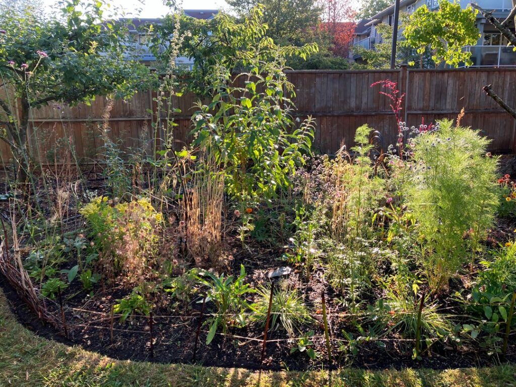 One year meadow update/review One year meadow update/review