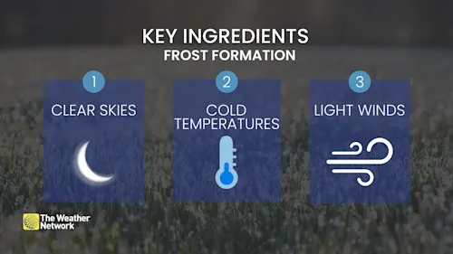 Baron - Key ingredients frost formation - May 15