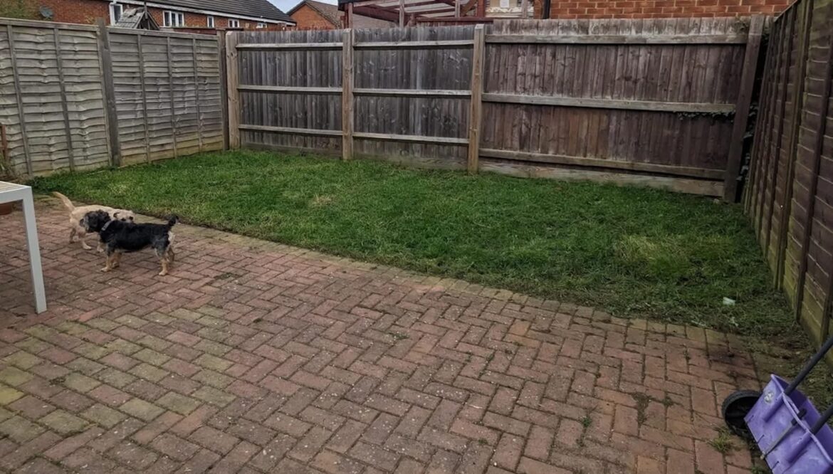 ‘It really … softens the space’ One resourceful Redditor shared the stunning results of their backyard's transformation, complete with a natural lawn and creative water features.