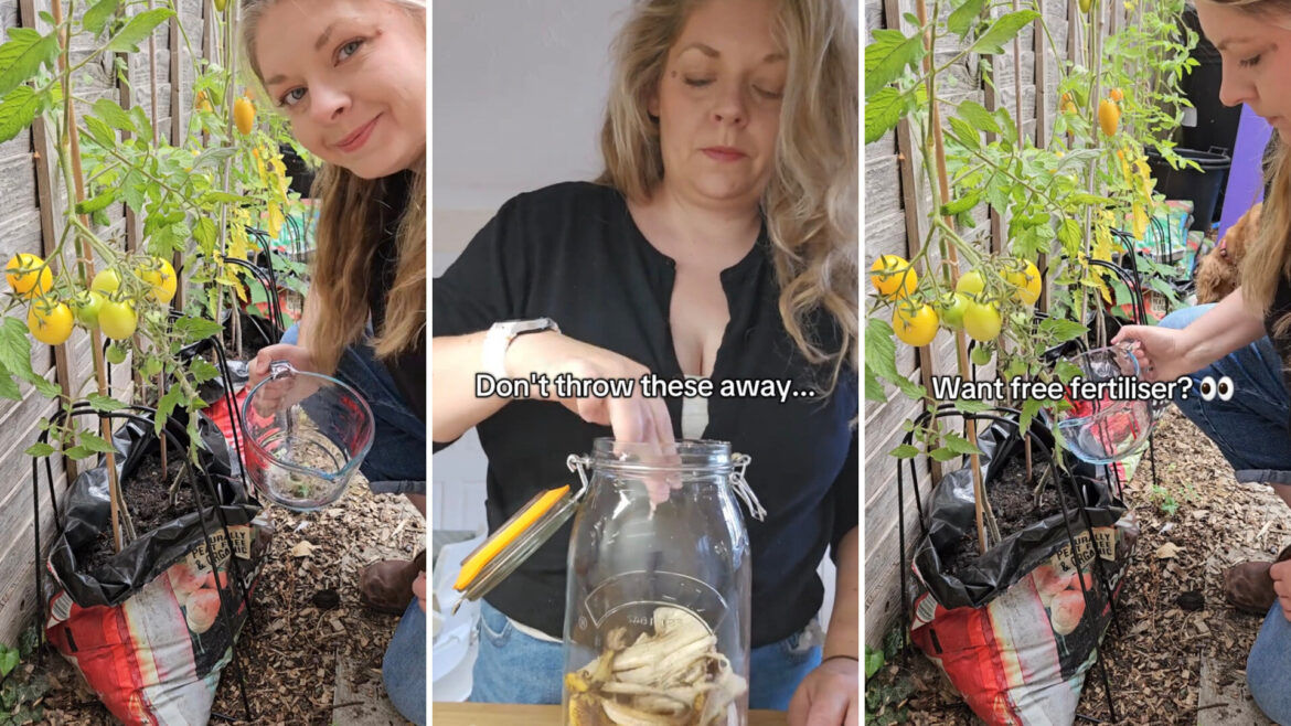 Gardener demonstrates brilliant hack using common kitchen scraps: ‘Great advice’ Buff up your garden without breaking the bank — all you need are leftover banana peels.