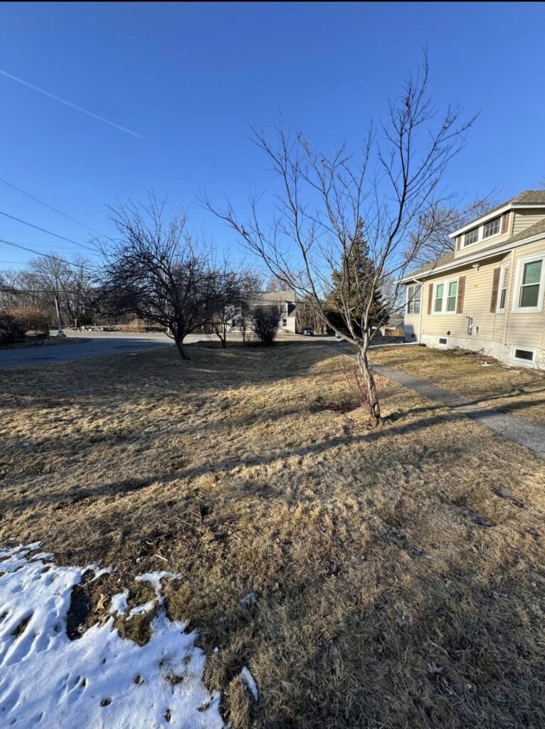 1 year transformation