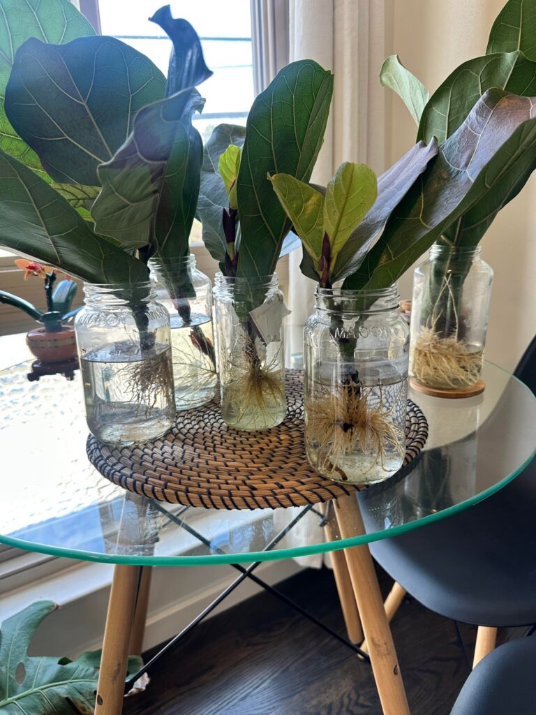 Propagation progress