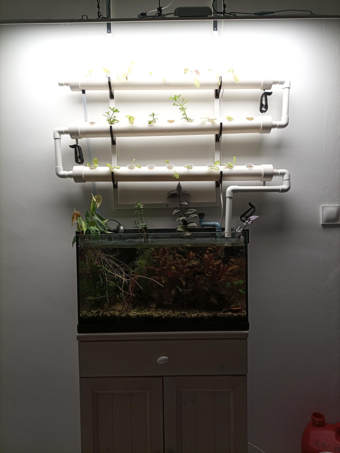 First aquaponics atrempt / automation question.