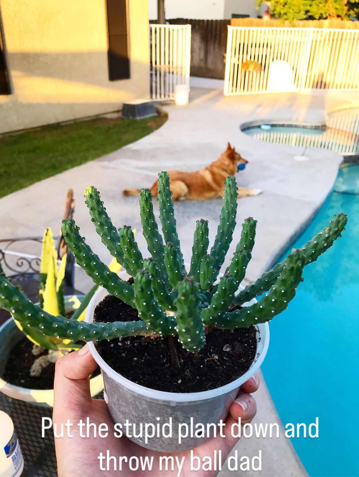 Please help!