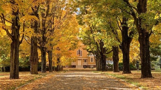 Yellow and green trees line the road leading up to the yellow Boscobel House