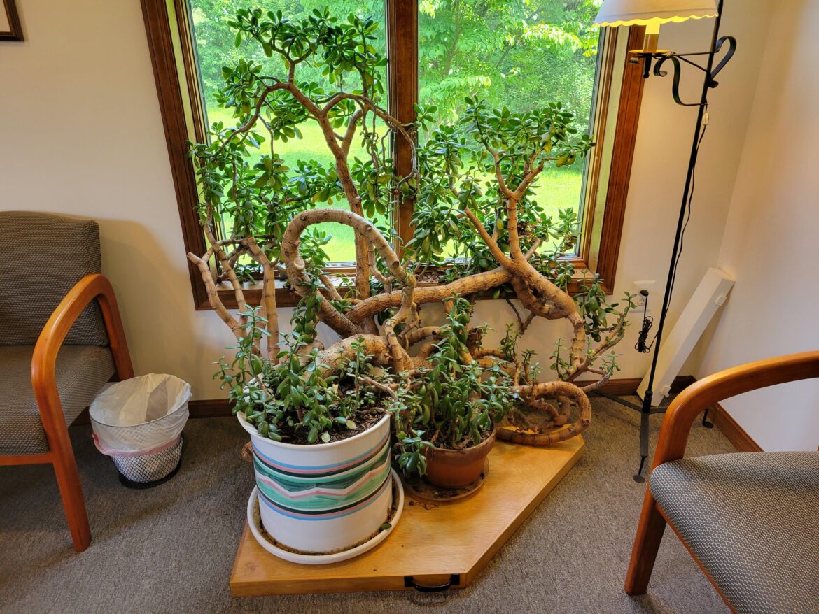 My eye doctor had these in the waiting room