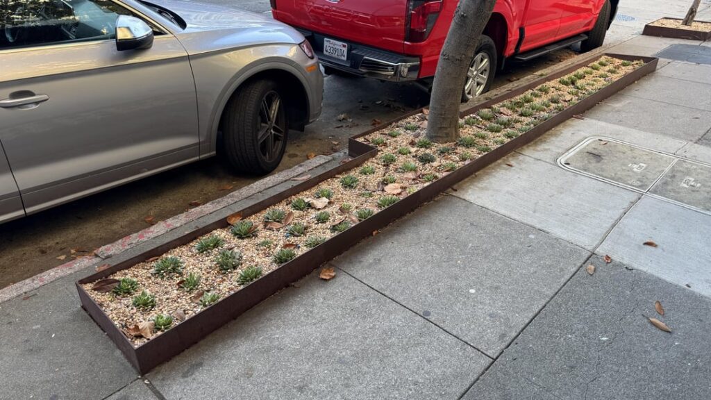Neighborhood Sidewalk Succulents [OC]