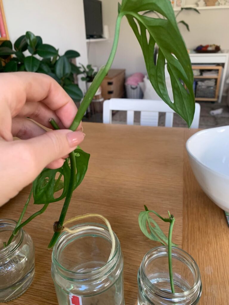 Are these ready yet? Are these ready yet?
