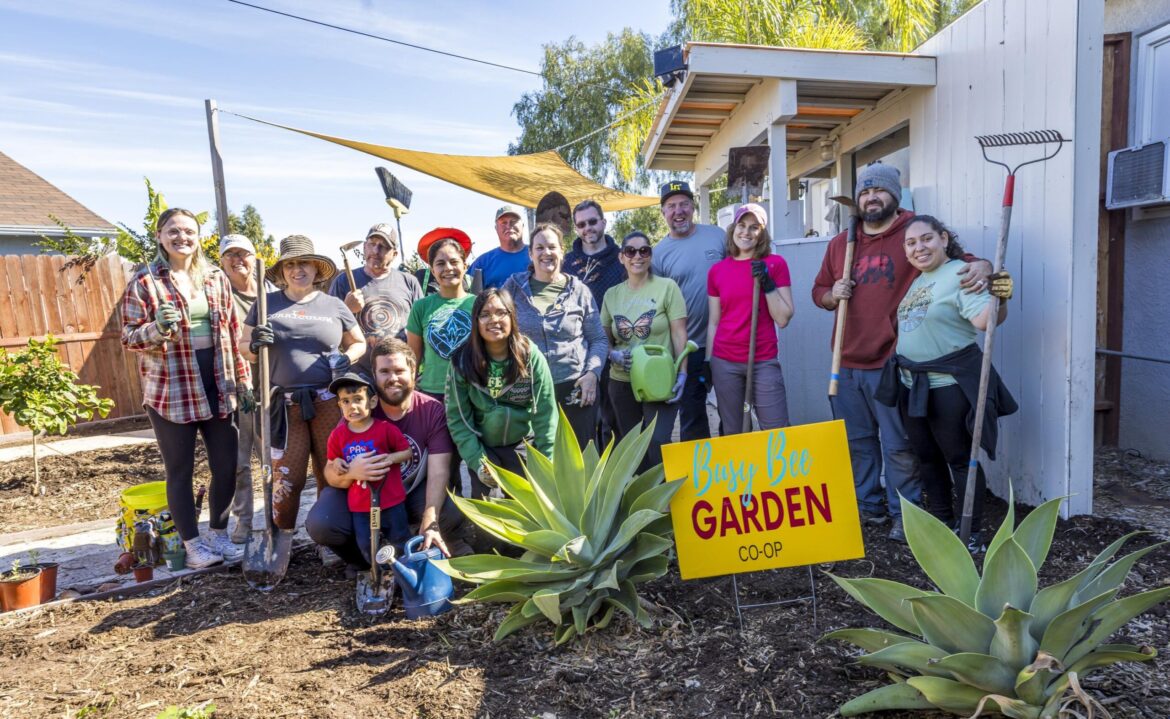 Co-op Gardening, One Yard at a Time   Co-op Gardening, One Yard at a Time