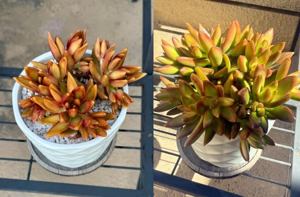 4 month glow-ups 🥹